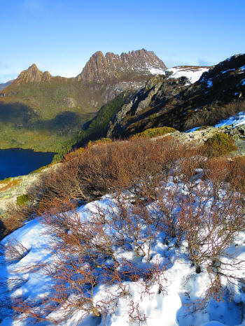 Cradle Mountain from Marion's Lookout - August 2014