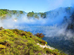 Boiling lake at Waimangu Volcanic Valley