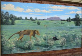 Tasmanian Tiger mural in Sheffield, Tasmania